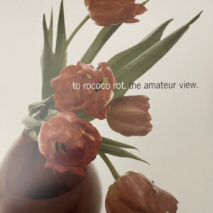 The Amateur View