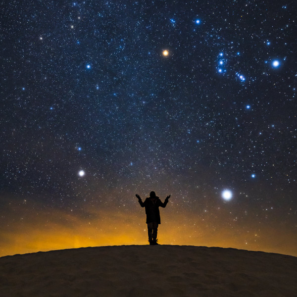 Cosmos,Cosmos