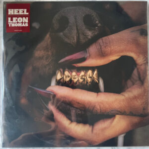 Mutt Deluxe: Heel