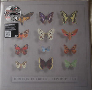Lepidoptera