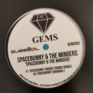 Spacebunny & The Mingers