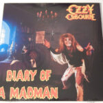 Diary Of A Madman