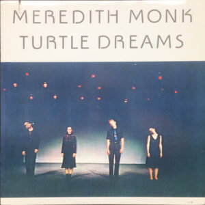 Turtle Dreams