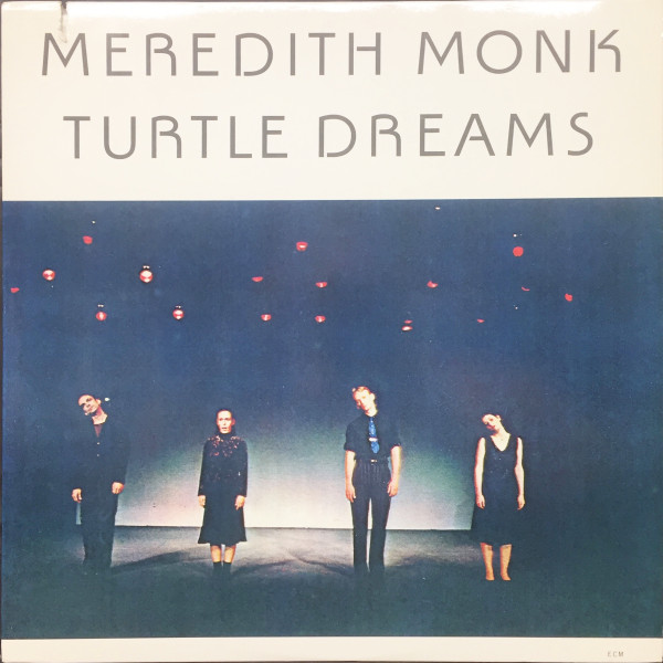 Turtle Dreams