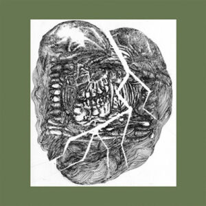 No Answer-Lower Floors