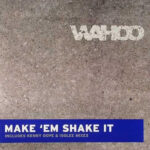 Make ‘Em Shake It (Remixes)