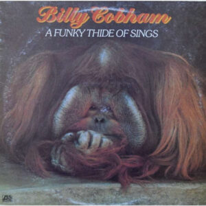 A Funky Thide Of Sings