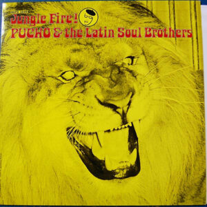 Jungle Fire!