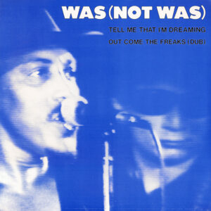 Tell Me That I’m Dreaming / Out Come The Freaks (Dub)