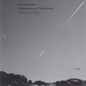 Imaginary Cities