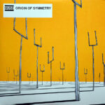 Origin Of Symmetry
