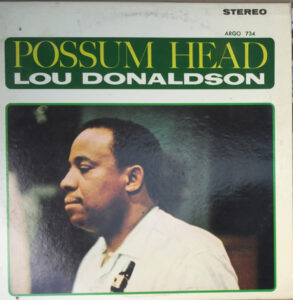 Possum Head
