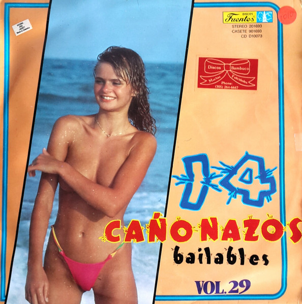 14 Cañonazos Bailables Vol. 29
