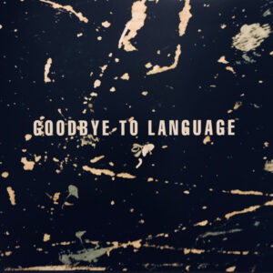 Goodbye To Language