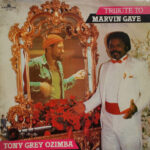 Tribute To Marvin Gaye