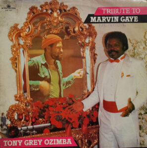 Tribute To Marvin Gaye
