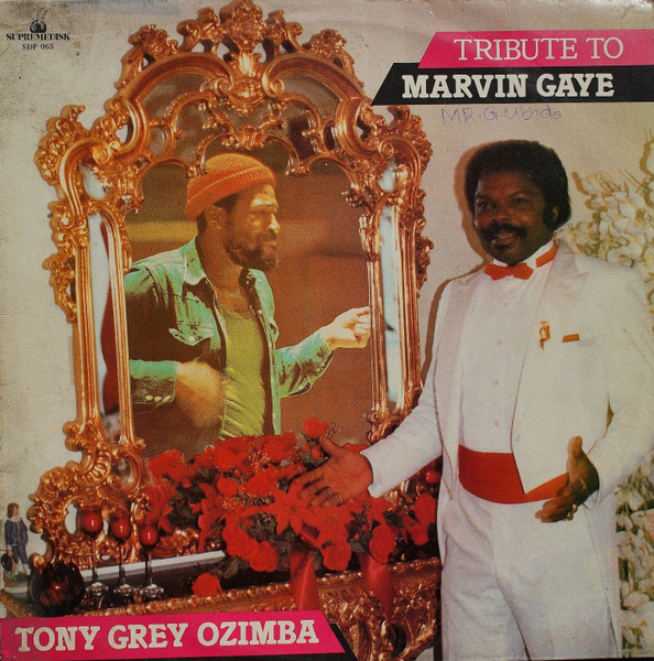 Tribute To Marvin Gaye