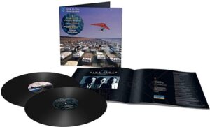 A Momentary Lapse Of Reason