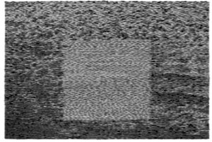 Grid Of Points