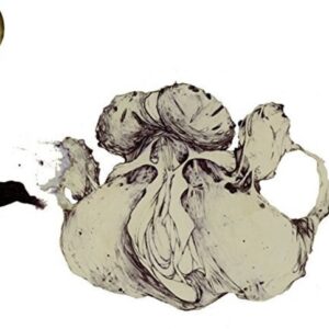 The Ape Of Naples: imagen 1