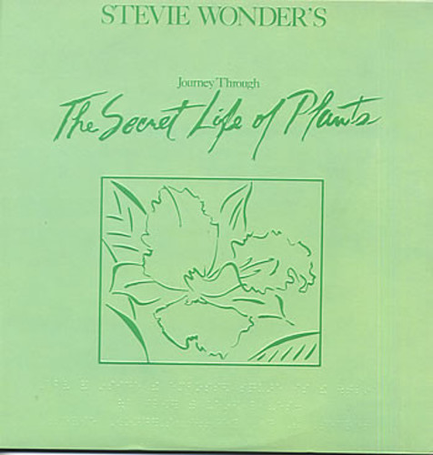 Stevie Wonder's Journey Through The Secret Life Of Plants