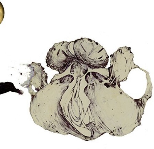 The Ape Of Naples