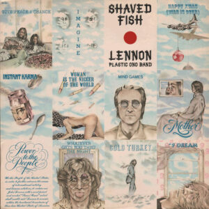 Shaved Fish: imagen 2