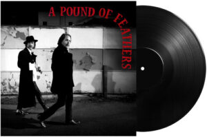A Pound Of Feathers