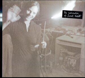 The Calcination Of Scout Niblett