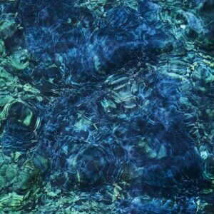 Luminescent Creatures: imagen 2