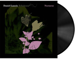 Belladonna Nocturne