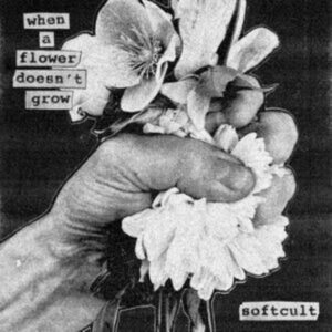 When A Flower Doesn’t Grow