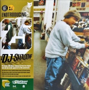 Endtroducing…..