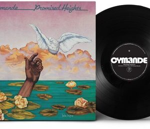 Promised Heights: imagen 1