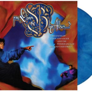 The Bliss Album (Vibrations Of Love And Anger And The Ponderance Of Life And Existence): imagen 1